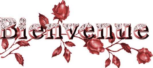 Bienvenue a vous !!!